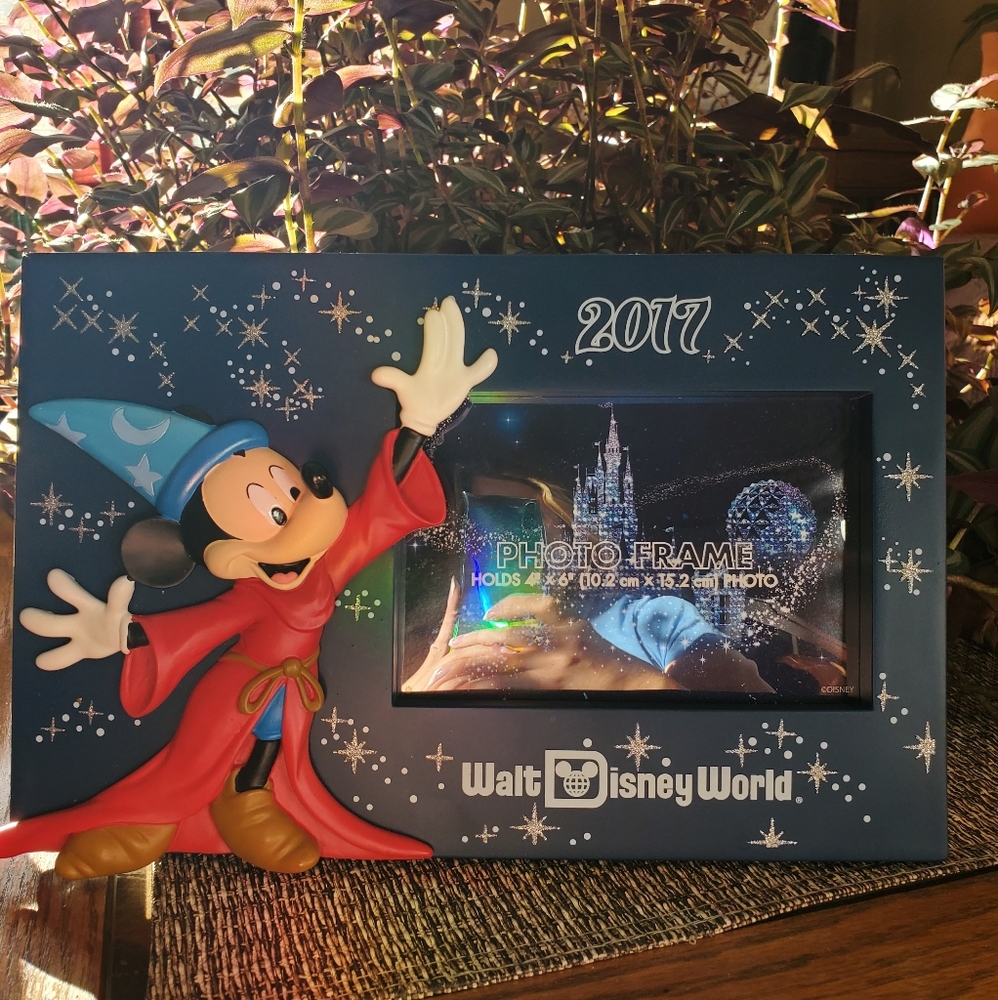 Walt Disney World 2017 4×6 Photo Frame